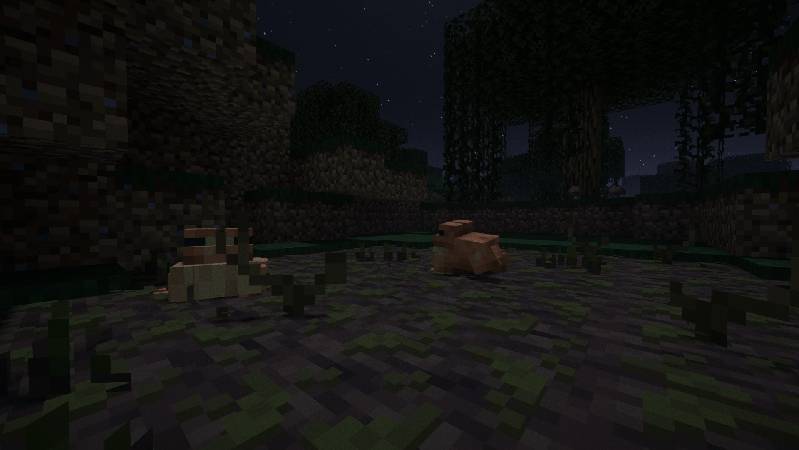 Скриншот мода Beneath the Wetlands #2675