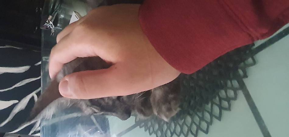 Скриншот мода Born In Configuration #3464