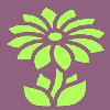 Botanic Bonsai logo