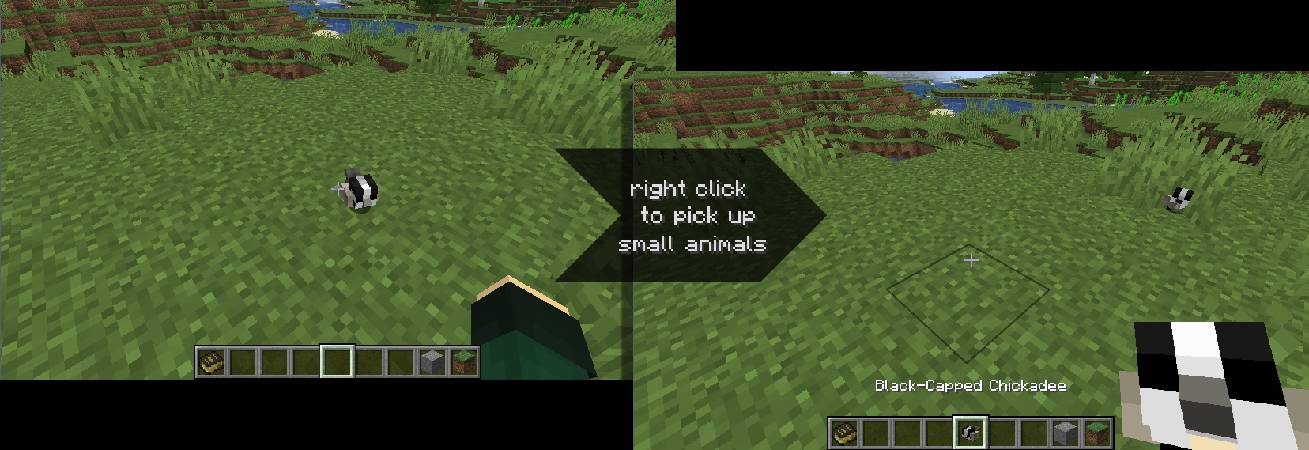 Скриншот мода Chirpy's Wildlife #690