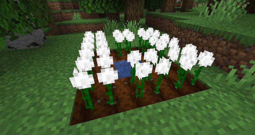 Скриншот мода Cottonly #5982