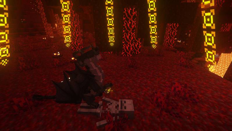 Скриншот мода Dragon Survival #5755