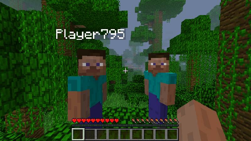 Скриншот мода Hide Names #5997