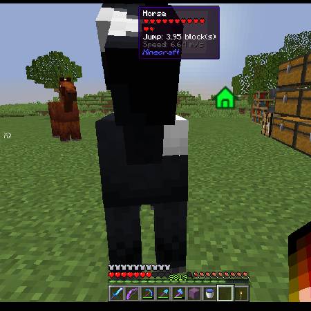 Скриншот мода Hwyla Addon Horse Info #2116