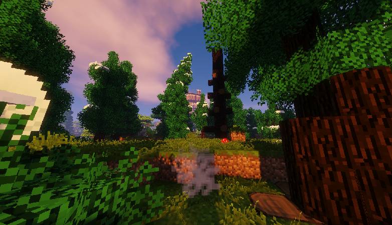 Скриншот мода Life in the village #522