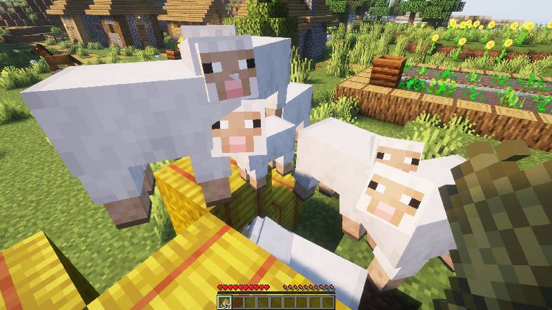 Скриншот мода Longer Following Time #1458