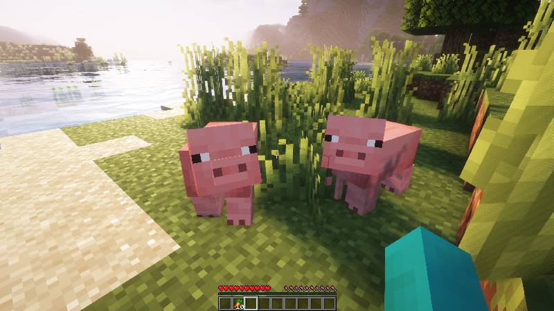 Скриншот мода Longer Following Time #1462