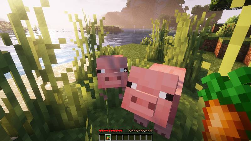 Скриншот мода Longer Following Time #1464