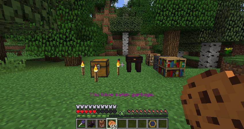 Скриншот мода Lost Magic #5151