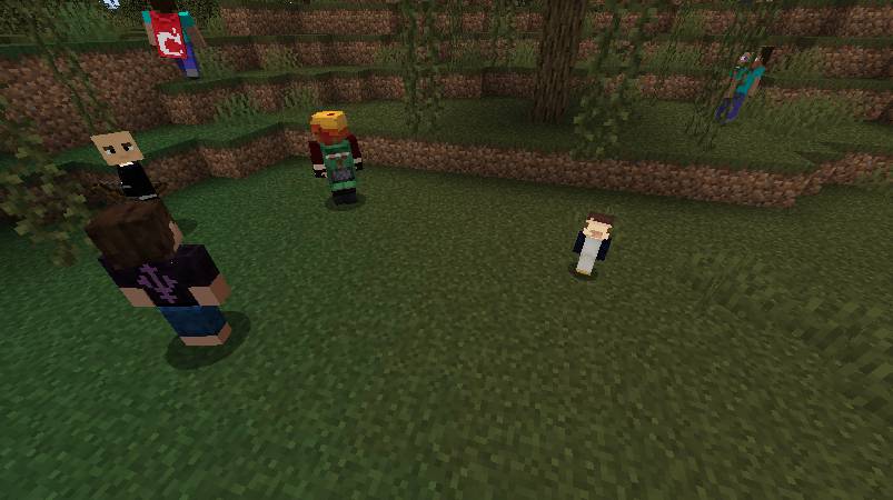 Скриншот мода Player Mobs #5077