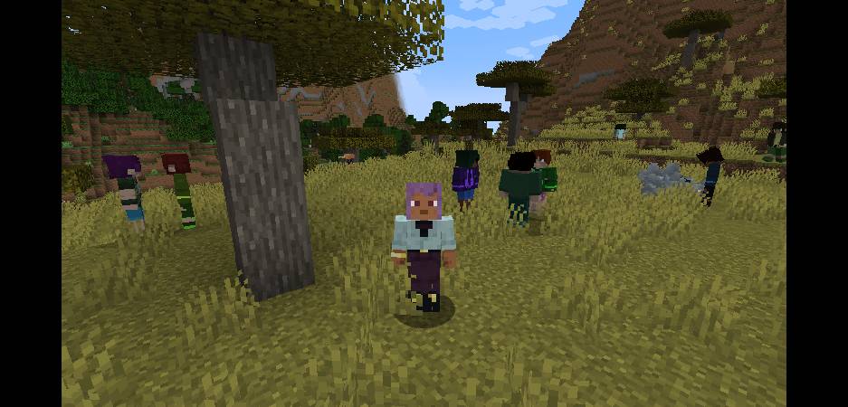 Скриншот мода Radical Cobblemon Trainers #4078