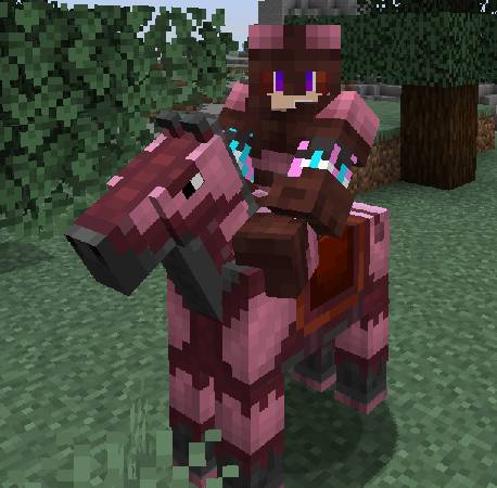 Скриншот мода Reinforced Leather Armor #1286