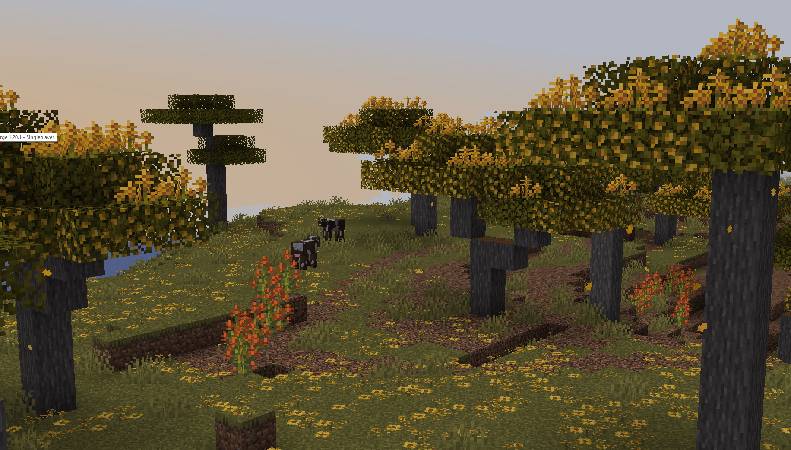 Скриншот мода Windswept! #5793